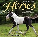 Horses - Mini 2010 Mini Calendar