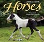 Horses - Mini 2010 Mini Calendar