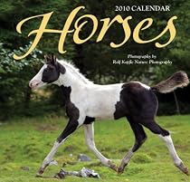 Horses - Mini 2010 Mini Calendar