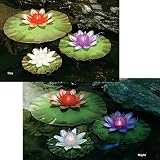 Water Pond Decor