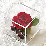 ���i�̏ڍ�