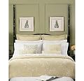 Martha Stewart Collection 