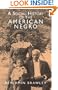 Social History of the American Negro