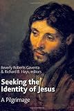 Seeking the identity of Jesus : a pilgrimage