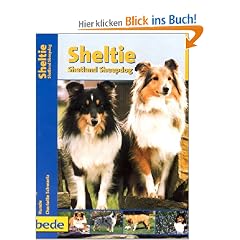 Sheltie, Praxisratgeber: Shetland Sheepdog
