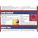 First Aid Quick Study Guide