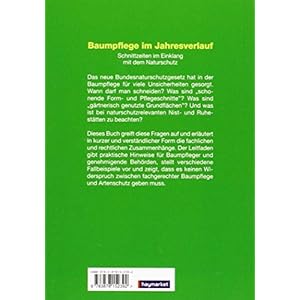Baumpflege im Jahresverlauf: Schnittzeiten im Einklang mit der Naturschutz
