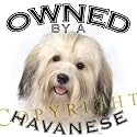 Havanese Mousepad Mouse Pad 'Owned By'