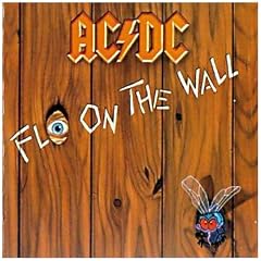 Fly on the Wall