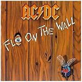 Fly on the Wall