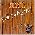 Fly on the Wall