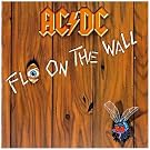 Fly on the Wall