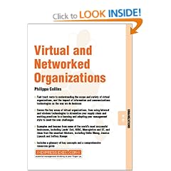 Virtual and Networked Organizations (Express Exec)
