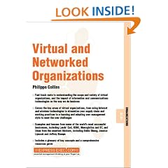 Virtual and Networked Organizations (Express Exec)