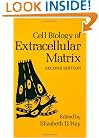 Cell Biology of Extracellular Matrix