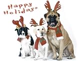 Pet Star Christmas Cards - Border Collie, Labrador, & Mastiff