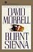 Book Burnt Sienna