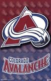 Colorado Avalanche - Logo Sports Poster Print, 22x34