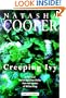 Creeping Ivy