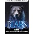 Buy Bears (Large Format)
