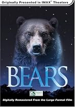 Bears (Large Format)