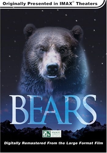 Bears (Large Format)
