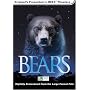 Bears (Large Format)