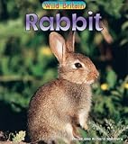 Rabbit  (Wild Britain) (Wild Britain: Animals)