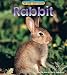 Rabbit (Wild Britain) (Wild Britain)