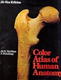 A colour atlas of human anatomy