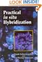 Practical in Situ Hybridization