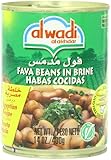 Al Wadi Foul Moudammas - Fava Beans in Brine- Egyptian Recipe (Cumin), 14-Ounce (Pack of 12)