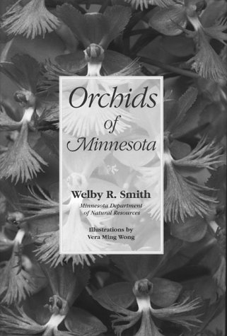 Minnesota