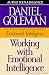 Books : Working with Emotional Intelligence