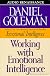 Working with Emotional Intelligence