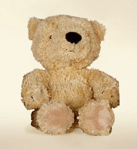 Small Spencer Bear