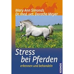 Stress bei Pferden: Erkennen und behandeln