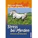 Stress bei Pferden: Erkennen und behandeln