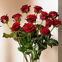 12 (Dozen) Fresh Red Roses delivered for Valentines Day with Free Chocolates