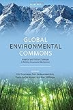 Global environmental commons : analytical and political challenges in building governance mechanisms
