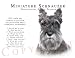 schnauzer3  - Schnauzer Human Trainer Mouse Pad Dog Mousepad