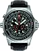 Torgoen Swiss Professional Pilot Watch - T01102