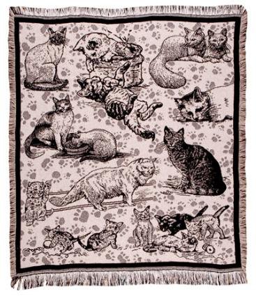 Cat Craze 