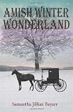 Amish Winter Wonderland: Book Two