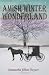 Books : Amish Winter Wonderland: Book Two