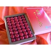 今度は大粒２L信州産「ハウスさくらんぼ」