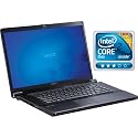 Sony VAIO VGN-FW510F/T 16.4-Inch Brown Laptop (Windows 7 Home Premium)