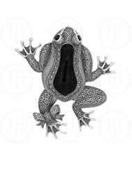 Sterling Silver -Pin Marcasite Stone Frog MP37