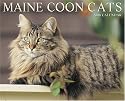 Maine Coon Cats 2008 Calendar