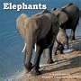 Elephants 2009 Wall Calendar